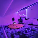 Oasis 2 En Duplex