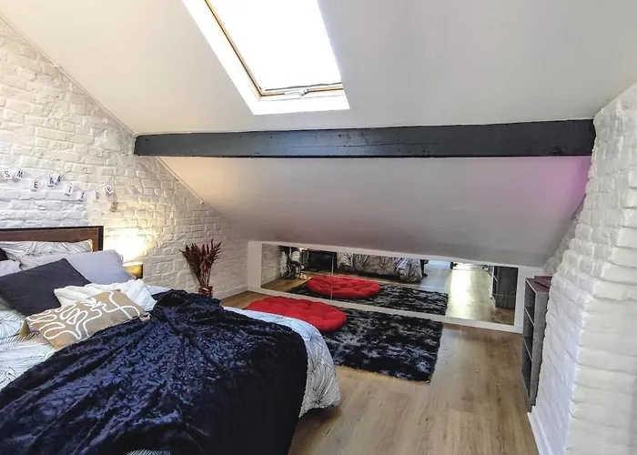 Appartement Oasis 2 En Duplex Roubaix