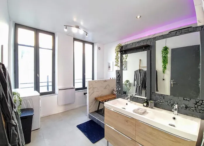 Oasis 2 En Duplex Appartement Roubaix