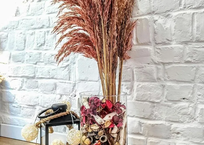 Appartement Oasis 2 En Duplex Roubaix