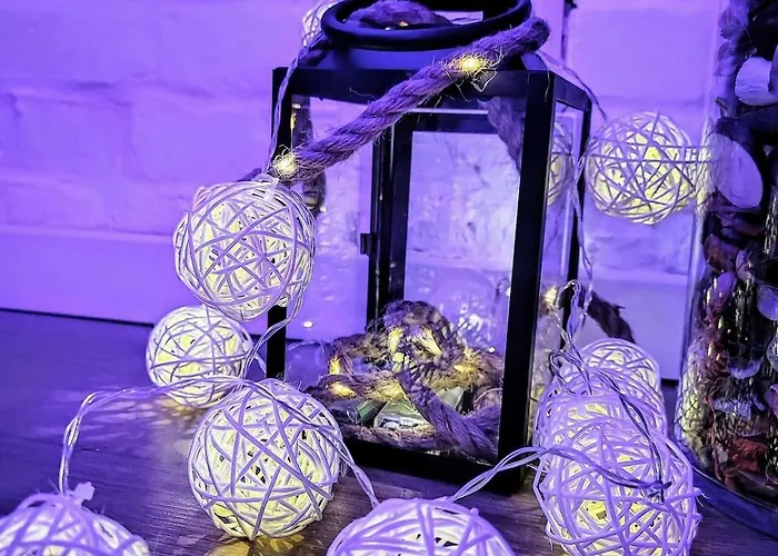 Appartement Oasis 2 En Duplex Roubaix