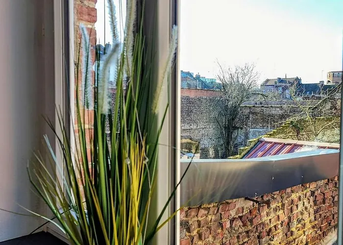 Oasis 2 En Duplex Roubaix