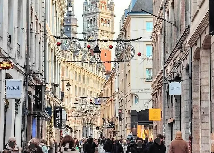 Oasis 2 En Duplex Appartement Roubaix